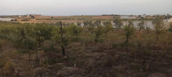 Grundstück in Noto, Italy 35000m², Nr. 59877 19