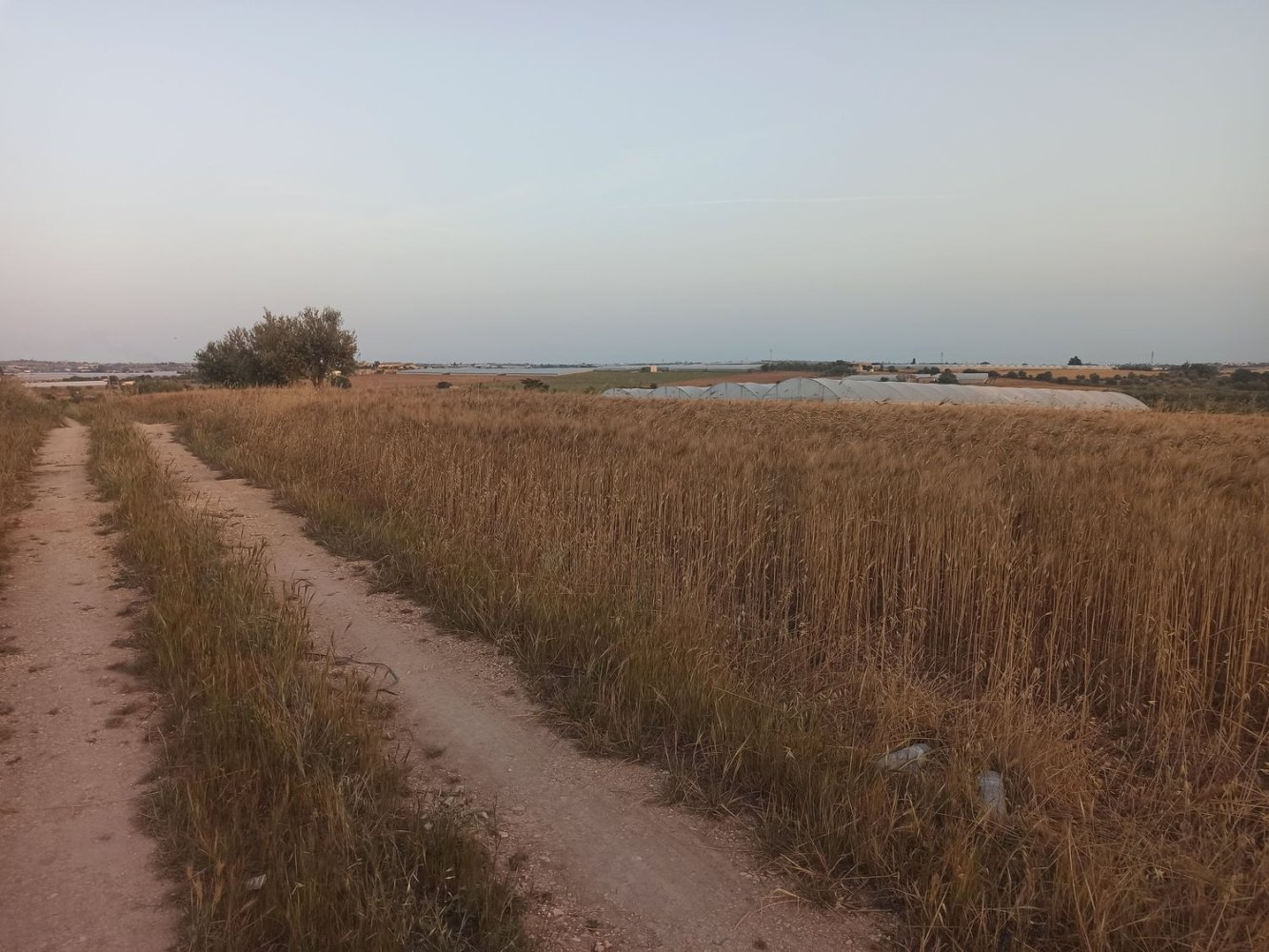 Grundstück in Noto, Italy 35000m², Nr. 59877