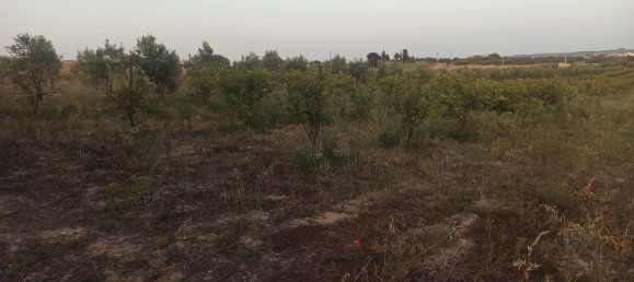 Grundstück in Noto, Italy 35000m², Nr. 59877 4