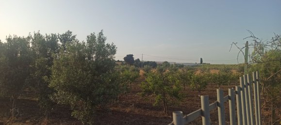 Grundstück in Noto, Italy 35000m², Nr. 59877 18