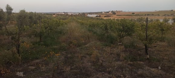 Grundstück in Noto, Italy 35000m², Nr. 59877 12