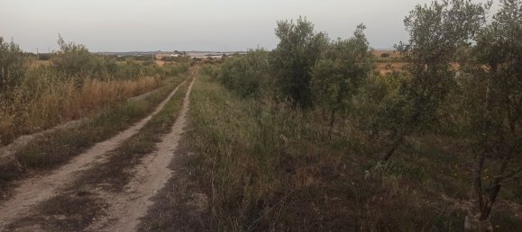 Grundstück in Noto, Italy 35000m², Nr. 59877 6