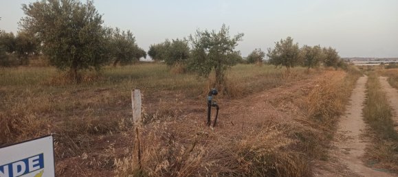 Grundstück in Noto, Italy 35000m², Nr. 59877 13