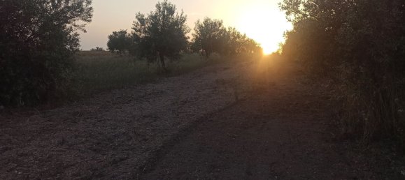 Grundstück in Noto, Italy 35000m², Nr. 59877 7