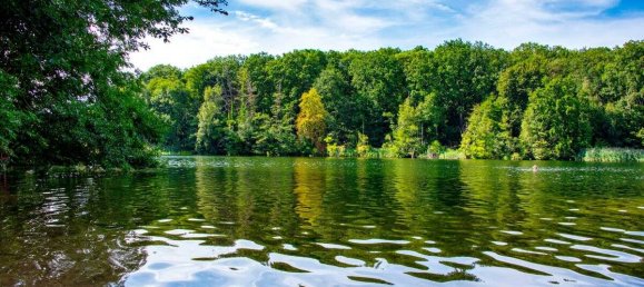 3 rooms Apartment in Zehlendorf, Germany No. 35777 8