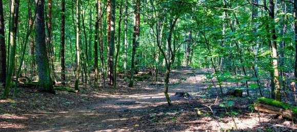 3 rooms Apartment in Zehlendorf, Germany No. 35777 6