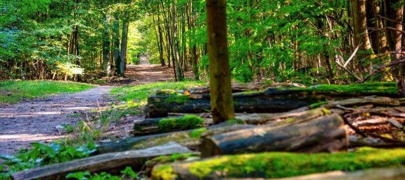 3 rooms Apartment in Zehlendorf, Germany No. 35777 12