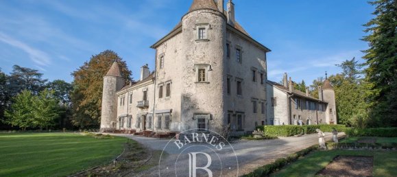 17 bedrooms Castles in Douvaine, France No. 63989 2