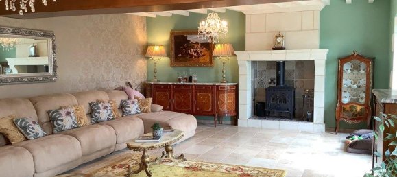 4 chambres Villa à Vaas, France No. 1845 15