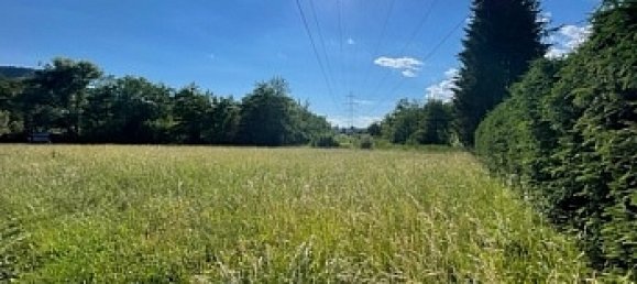 Terrain à Schiefling am Worthersee, Austria No. 164552 6