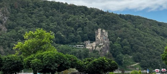  فندق في Wiesbaden, Germany 1951متر مربع رقم 85906 5