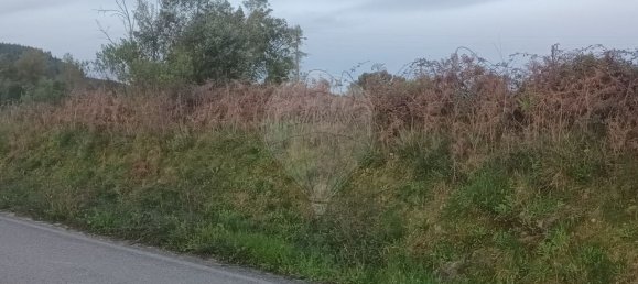 Terreno em Tomar, Portugal 6840 m² N.º 79661 3