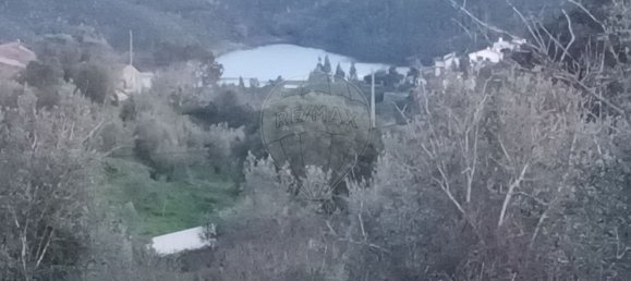 Terreno em Tomar, Portugal 6840 m² N.º 79661 2