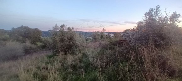 Terreno em Tomar, Portugal 6840 m² N.º 79661 4