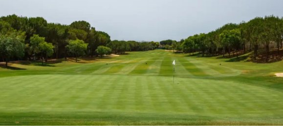 3 bedrooms Townhouse in Los Arqueros, Spain No. 30749 11