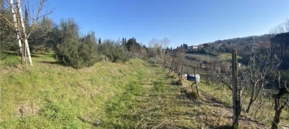 1-Zimmer Grundstück in Scandicci, Italy, Nr. 34503 11