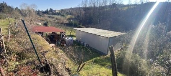 1-Zimmer Grundstück in Scandicci, Italy, Nr. 34503 13