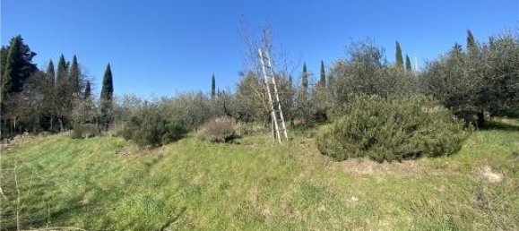 1-Zimmer Grundstück in Scandicci, Italy, Nr. 34503 8