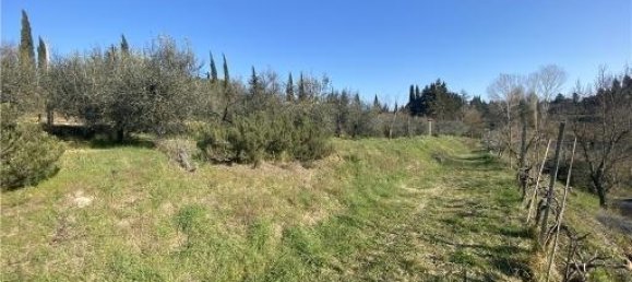 1-Zimmer Grundstück in Scandicci, Italy, Nr. 34503 9