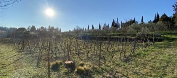 1-Zimmer Grundstück in Scandicci, Italy, Nr. 34503 3