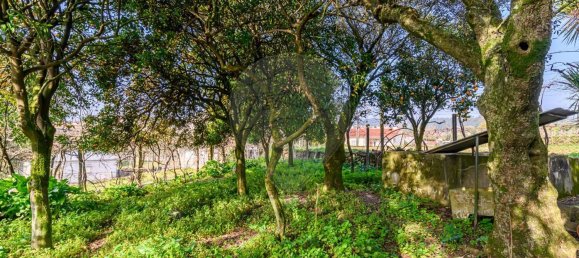 Casa T1 em Barcelos, Portugal N.º 35577 16