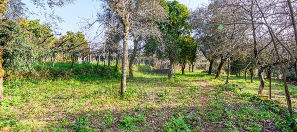 Casa T1 em Barcelos, Portugal N.º 35577 20