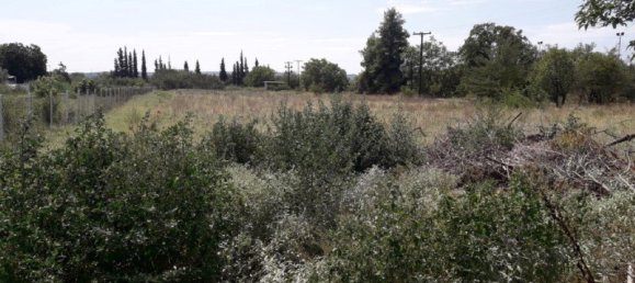 Отель, гостиница 5908м² в Терми, Греция № 6080 3