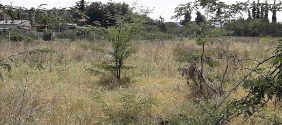 Отель, гостиница 5908м² в Терми, Греция № 6080 4