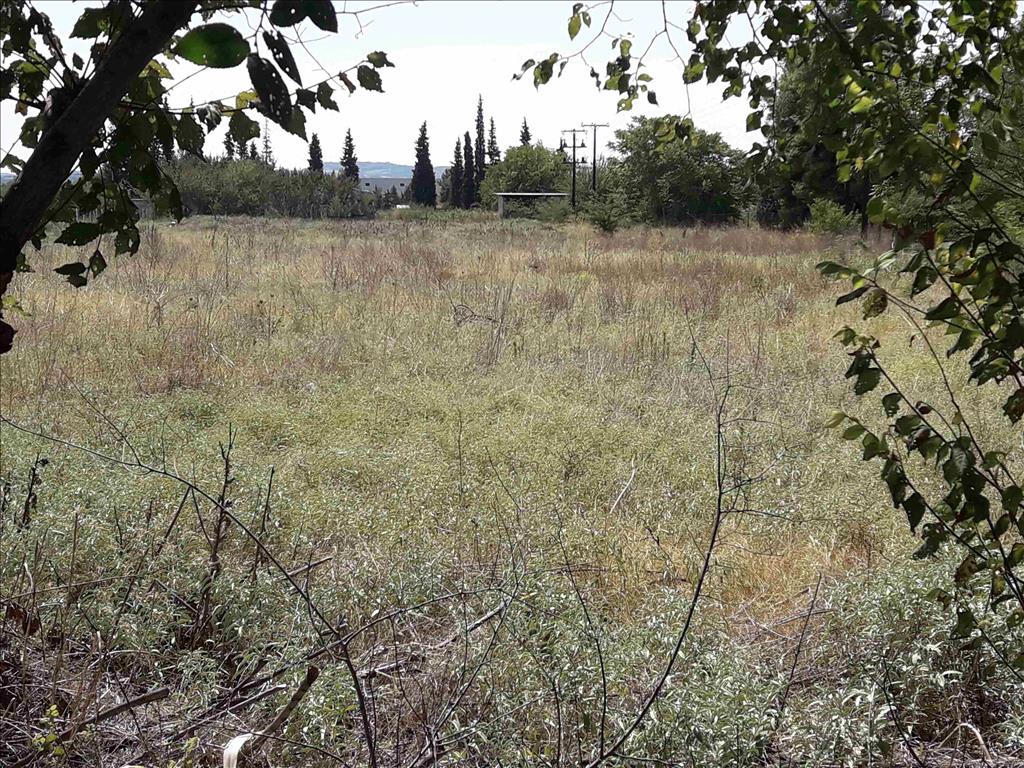 5908m² hôtel à vendre à Thermi, Thessaloniki, Central Macedonia, Macedonia and Thrace, Greece № 6080