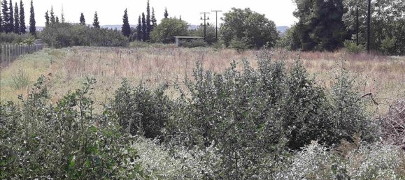 Отель, гостиница 5908м² в Терми, Греция № 6080 2