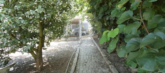 1 bedroom House in Cambres, Portugal No. 62087 16