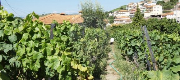 1 bedroom House in Cambres, Portugal No. 62087 36