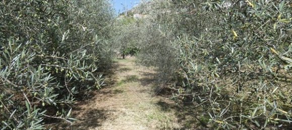 1 bedroom House in Cambres, Portugal No. 62087 4