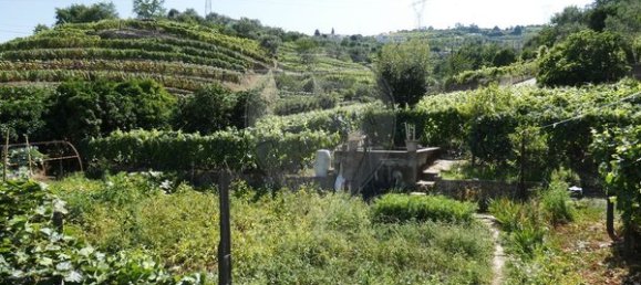 1 bedroom House in Cambres, Portugal No. 62087 18