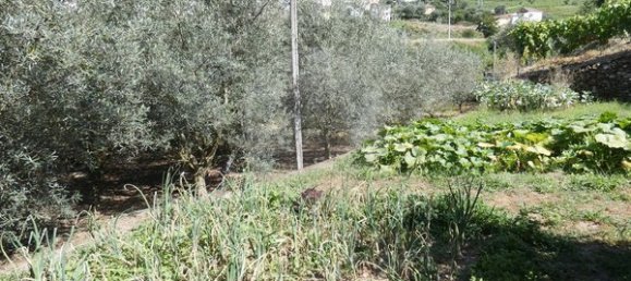 1 bedroom House in Cambres, Portugal No. 62087 6