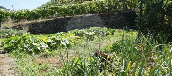 1 bedroom House in Cambres, Portugal No. 62087 5