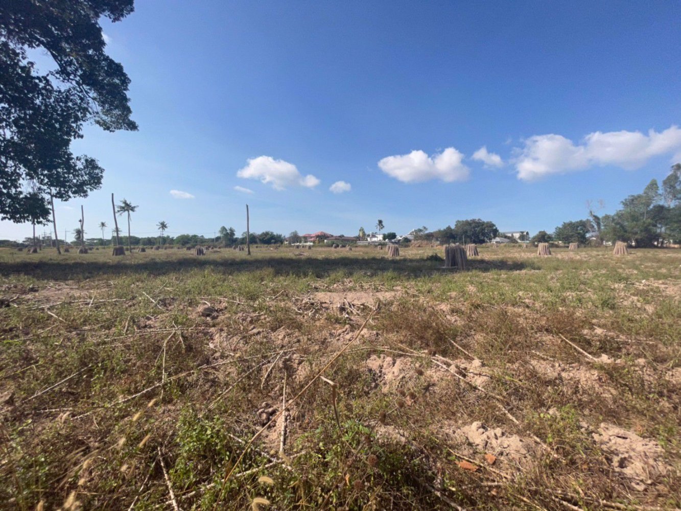 Gewerbliche Immobilie in Bang Lamung, Thailand, Nr. 4899