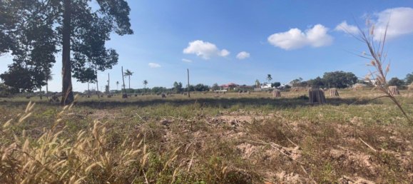 Gewerbliche Immobilie in Bang Lamung, Thailand, Nr. 4899 2