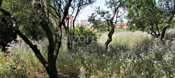  Land in Cascais, Portugal No. 74771 7