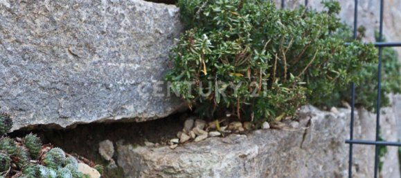 Bungalow de 3 divisões em Darmstadt-Dieburg, Germany N.º 148936 23