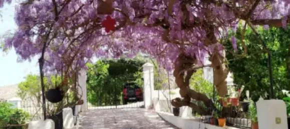 Escritório T4 em Mijas Costa, Spain N.º 34629 5