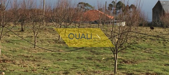 12500m² Land in Calheta, Portugal No. 109558 9