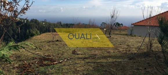 12500m² Land in Calheta, Portugal No. 109558 2