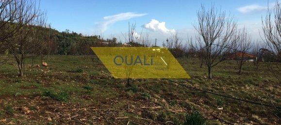 12500m² Land in Calheta, Portugal No. 109558 15