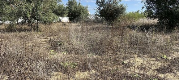 10500m² Land in Palmela, Portugal No. 155578 7