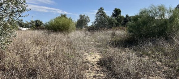 10500m² Land in Palmela, Portugal No. 155578 17