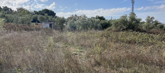 10500m² Land in Palmela, Portugal No. 155578 9
