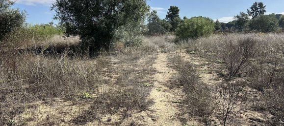 10500m² Land in Palmela, Portugal No. 155578 13