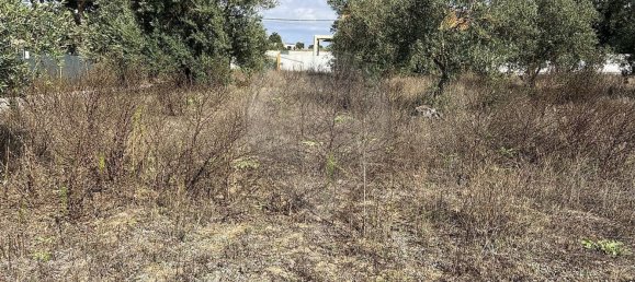 10500m² Land in Palmela, Portugal No. 155578 3