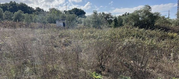 10500m² Land in Palmela, Portugal No. 155578 8